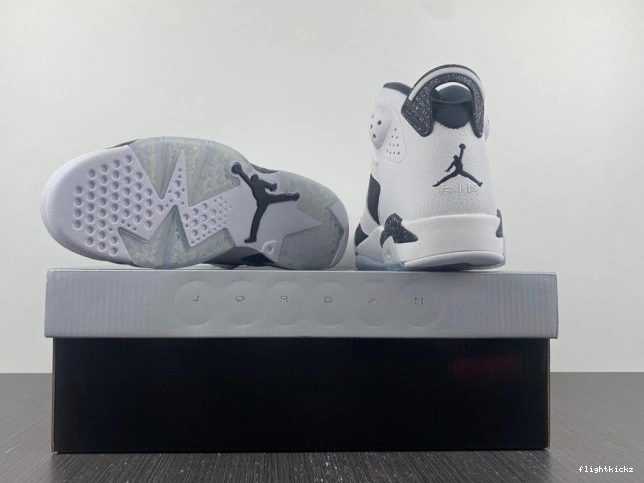 384664-101 Retro Jordan 6 Oreo 0817
